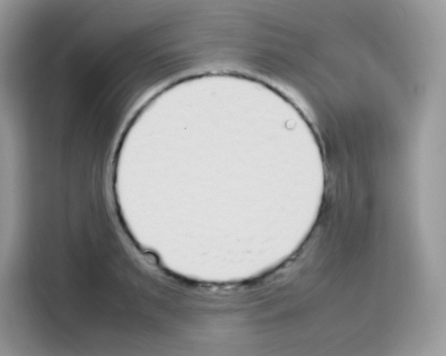 X0000113030895200910081218