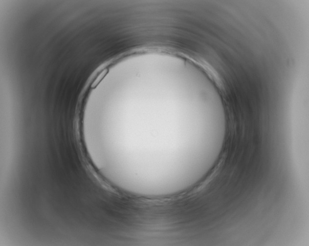 X0000113030896200910081217
