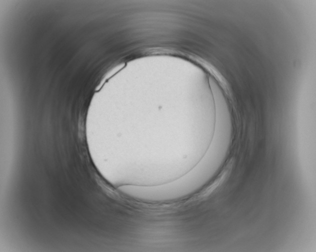 X0000113030897200910081217
