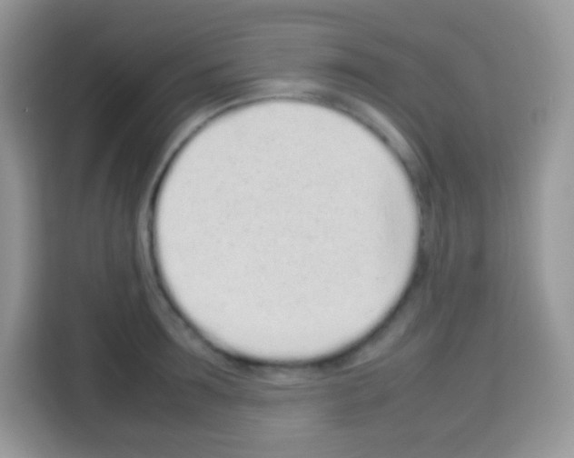X0000113030899200910081217