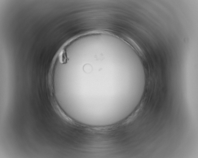 X0000113030900200910081217