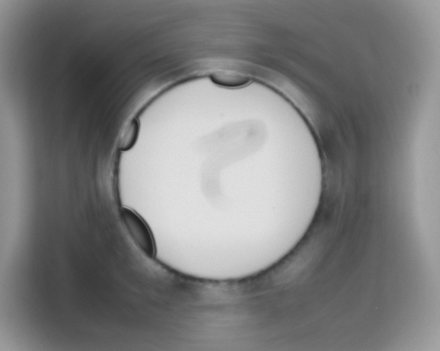 X0000113030901200910081217