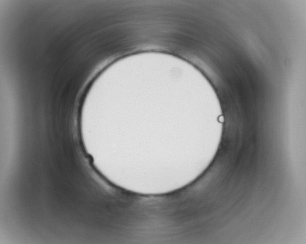 X0000113030902200910081217