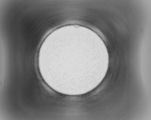 X0000113030903200910081217