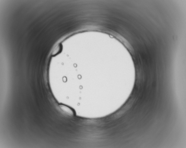 X0000113030904200910081217