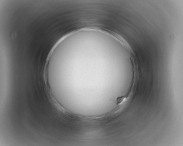 X0000113030908200910081217