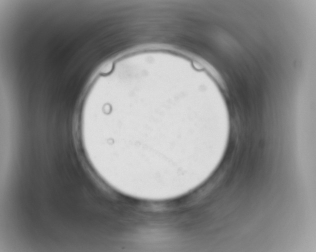 X0000113030911200910081217