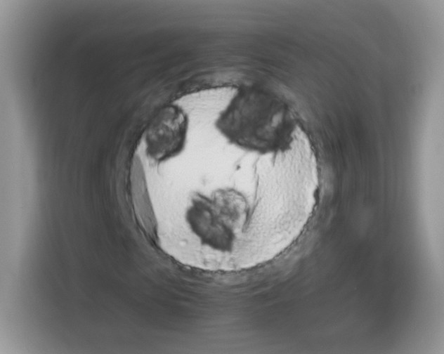 X0000113030913200910081217