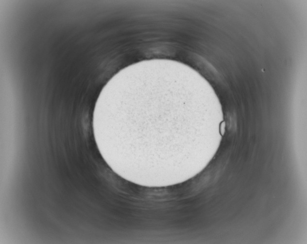 X0000113030915200910081217