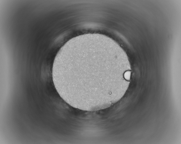 X0000113030918200910081217