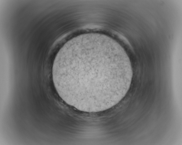 X0000113030920200910081217