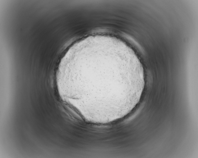 X0000113030921200910081217
