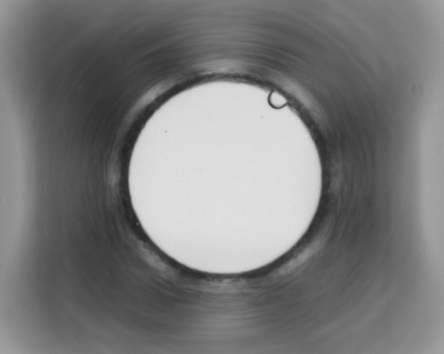 X0000113030922200910081217