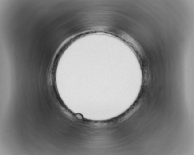X0000113030924200910081217