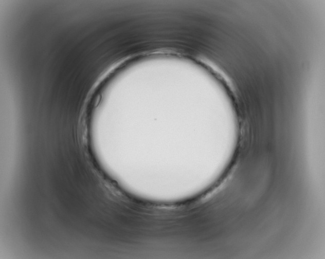 X0000113030925200910081217