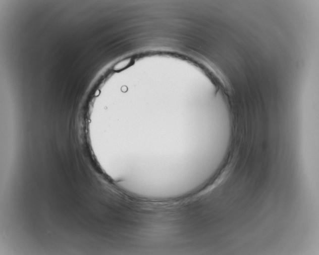 X0000113030926200910081217