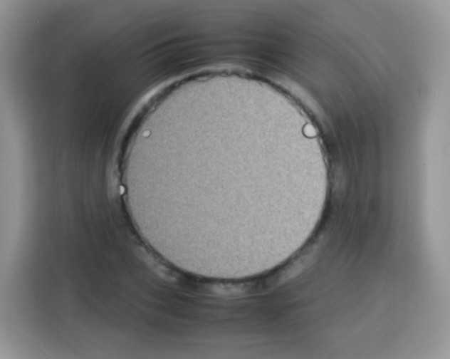 X0000113030927200910081217