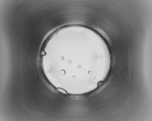 X0000113030928200910081217