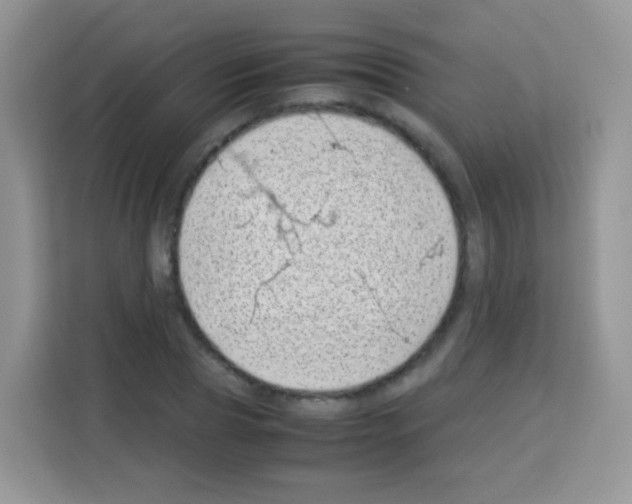 X0000113030929200910081217