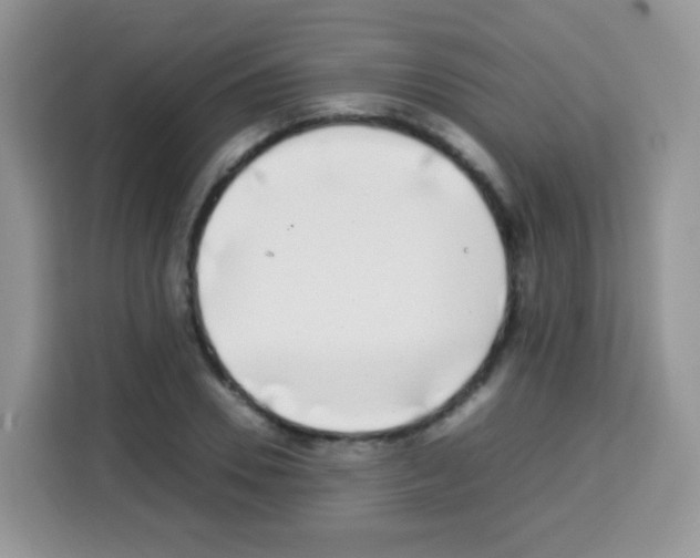 X0000113030930200910081217
