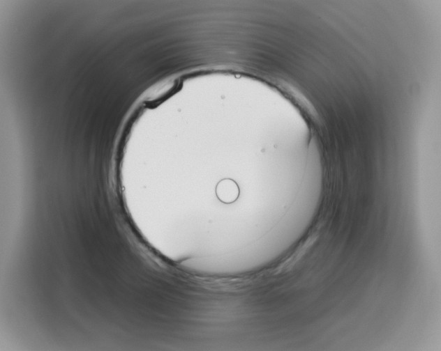 X0000113030932200910081217