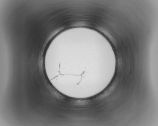 X0000113030933200910081217