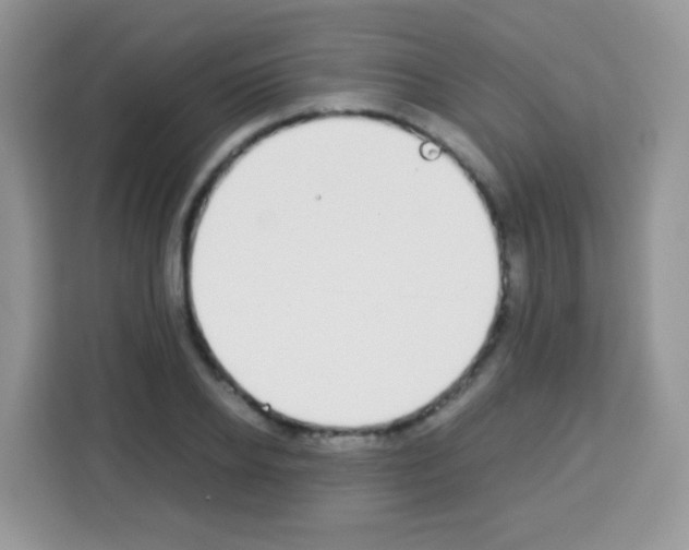 X0000113030934200910081217