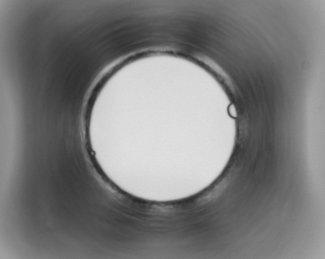 X0000113030935200910081217