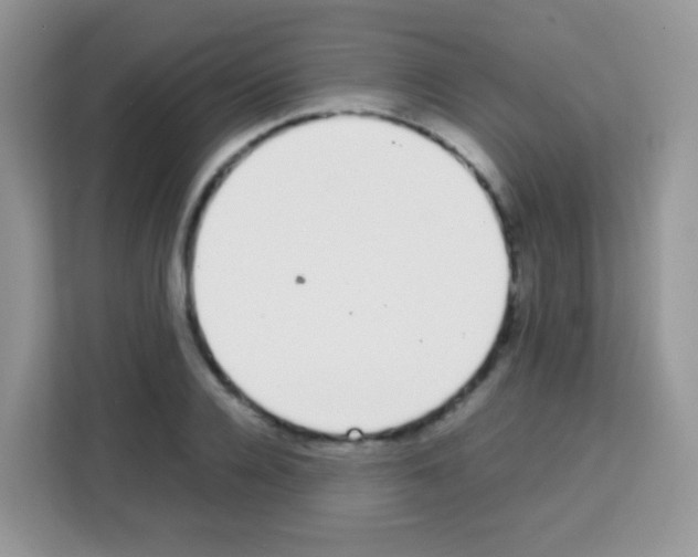 X0000113030936200910081217