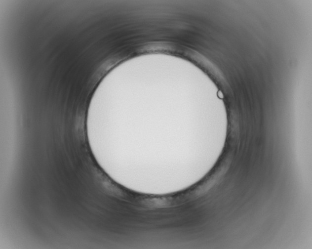 X0000113030937200910081217