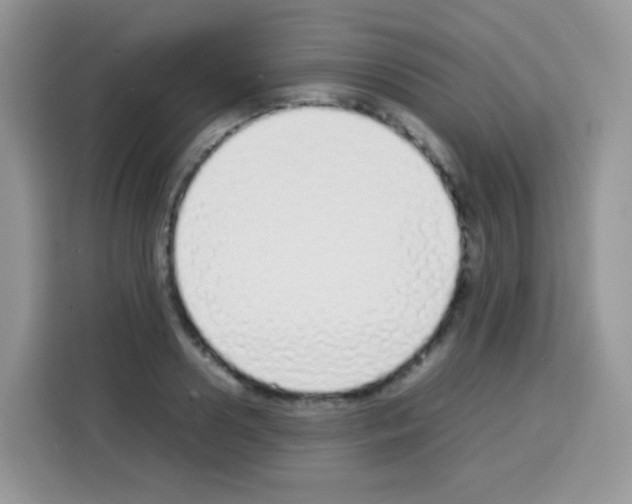 X0000113030938200910081217