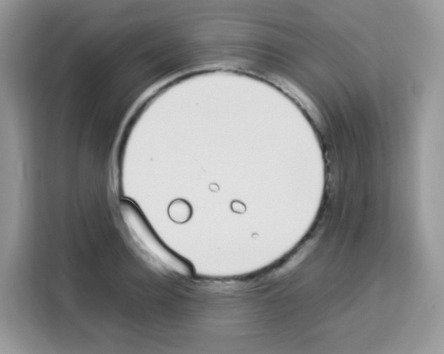 X0000113030940200910081217