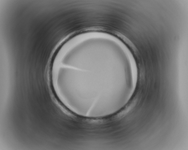 X0000113030941200910081217