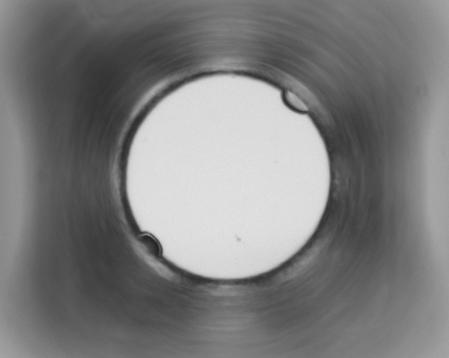 X0000113030942200910081217