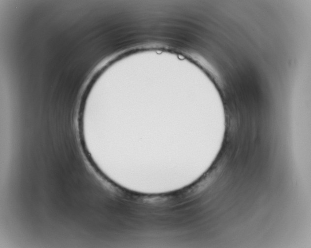X0000113030943200910081217