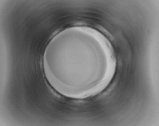 X0000113030945200910081217