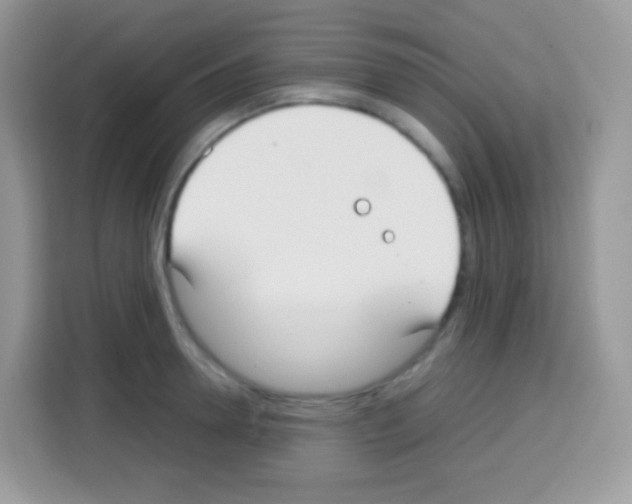 X0000113030946200910081217