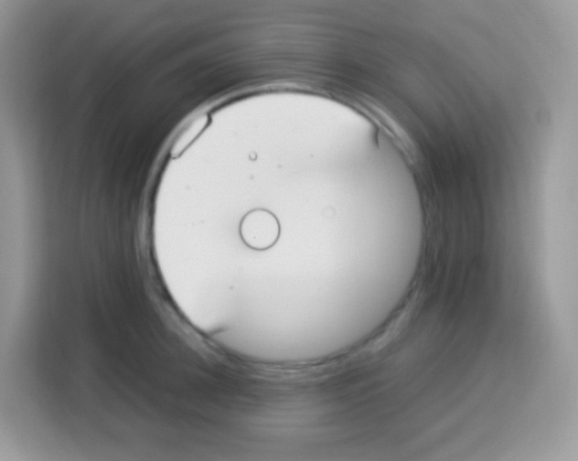 X0000113030948200910081217