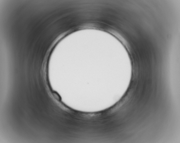 X0000113030949200910081217