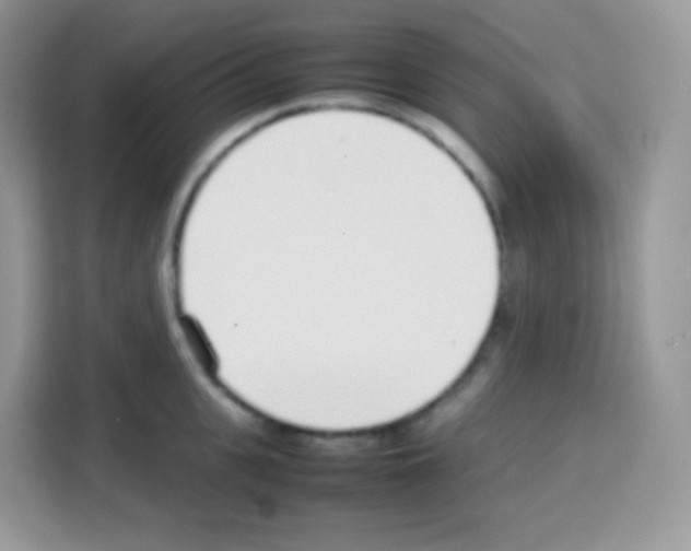 X0000113030951200910081217