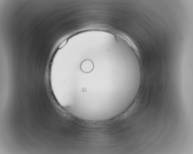 X0000113030952200910081217