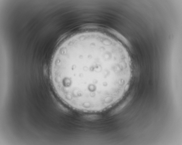 X0000113030953200910081217