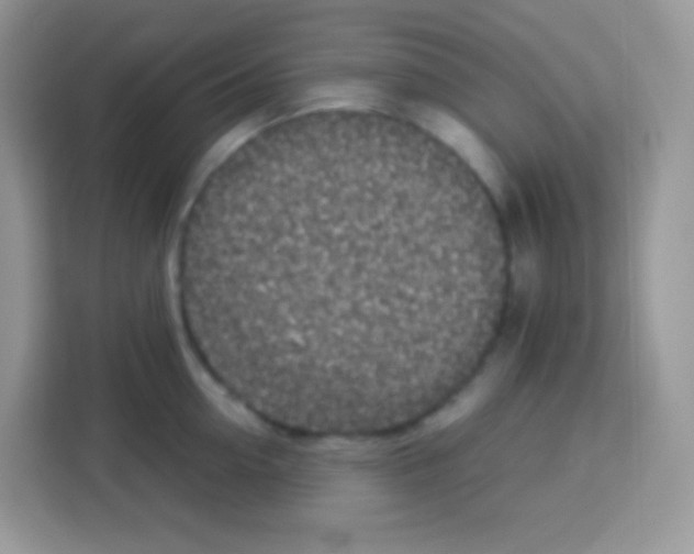 X0000113030954200910081217