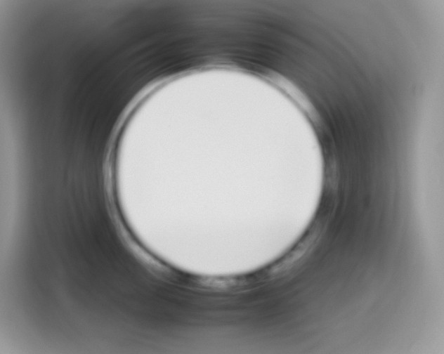 X0000113030955200910081217