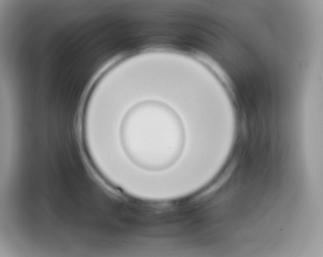 X0000113030957200910081217