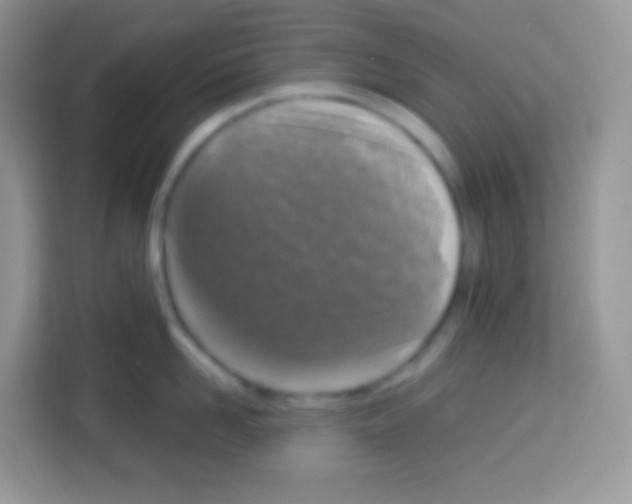 X0000113030958200910081217