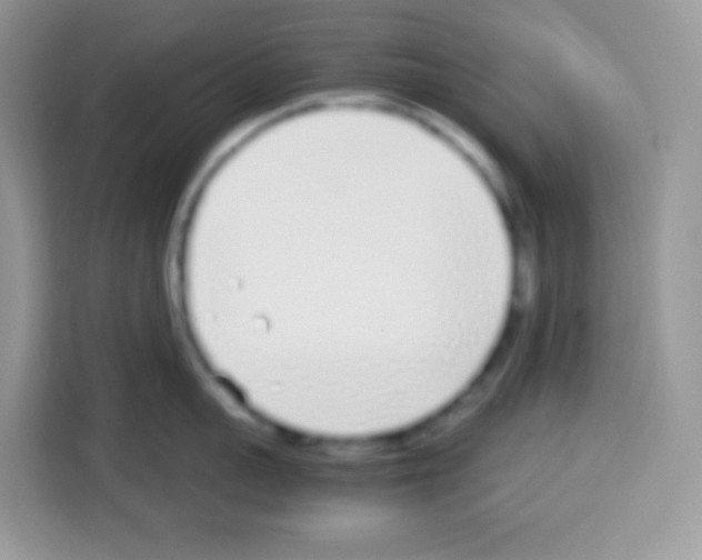 X0000113030959200910081217