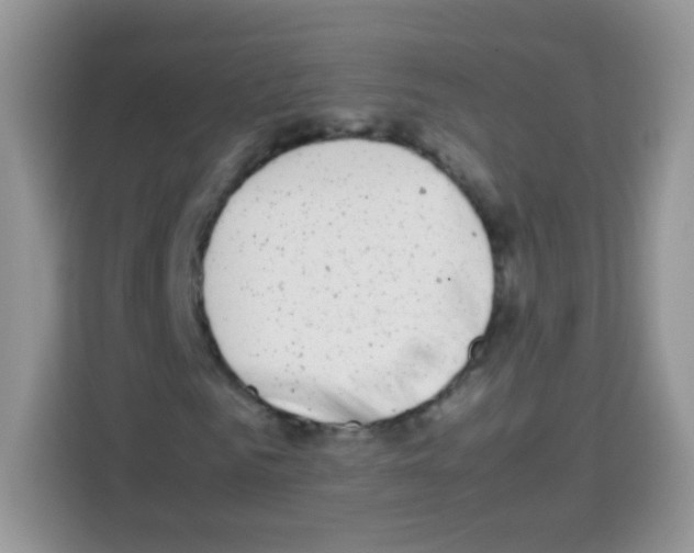 X0000113030961200910081217