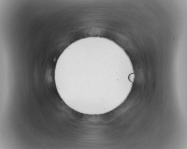 X0000113030962200910081217