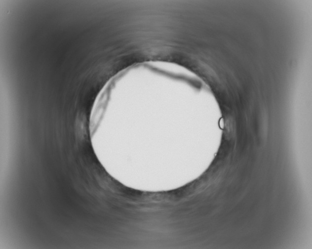 X0000113030963200910081217